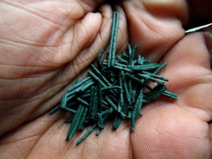 spiruline-complement-alimentaire-bio