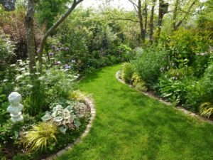 Photo de jardin
