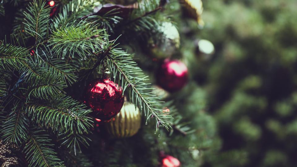 Boule de sapin de Noël