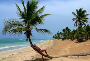 palmier plage