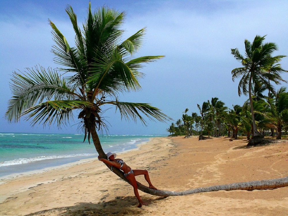 palmier plage