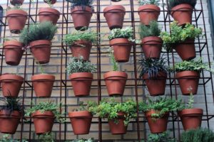 Fleurs en pot, balcon